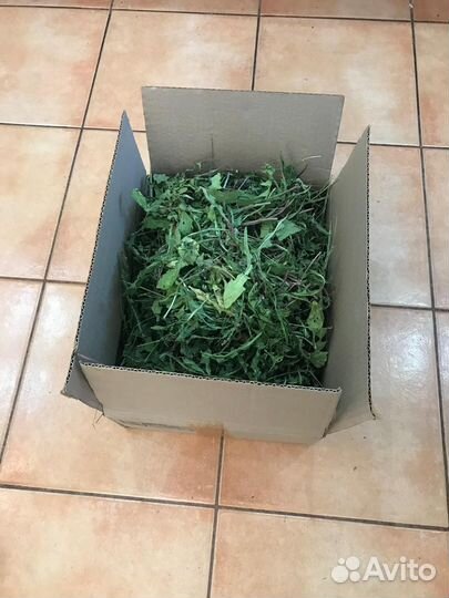 Сено для грызунов