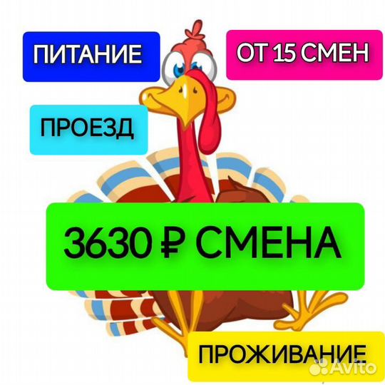 Упаковщики Вахта 15смен Отправка/питание бесплатно