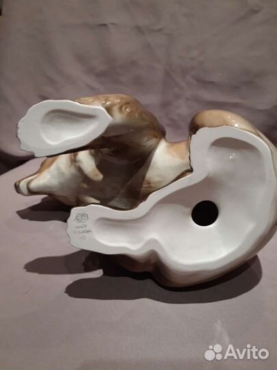 Медведь ифз