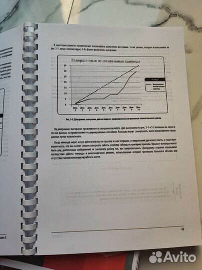 Книги PMI PMbok 7, Agile