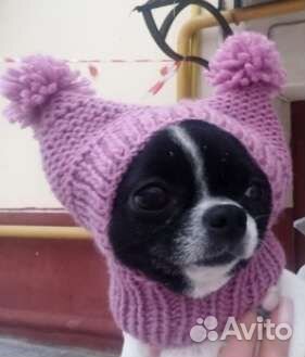 Шапка для маленьких собак