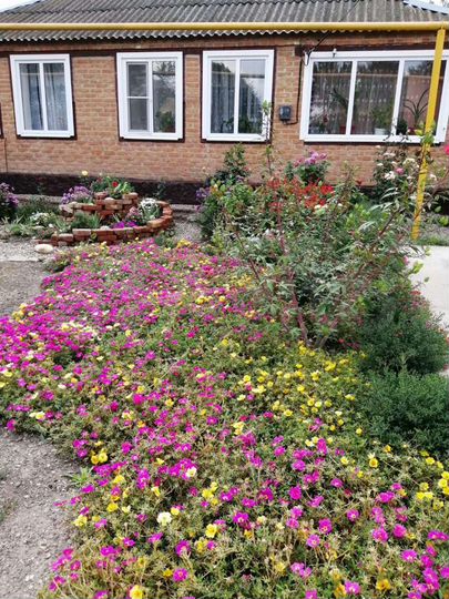 Дом 75 м² на участке 16 сот.