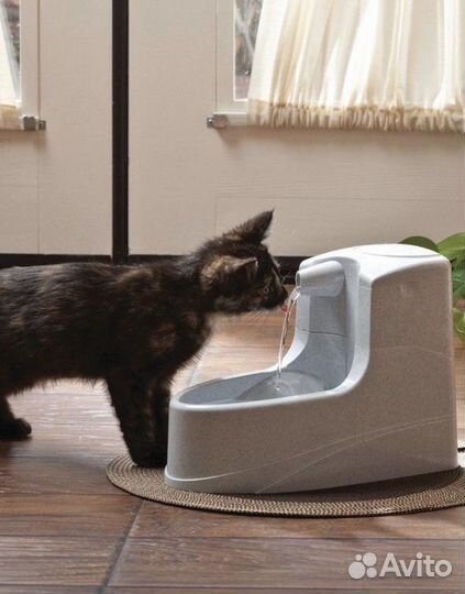 Поилка для кошек и собак