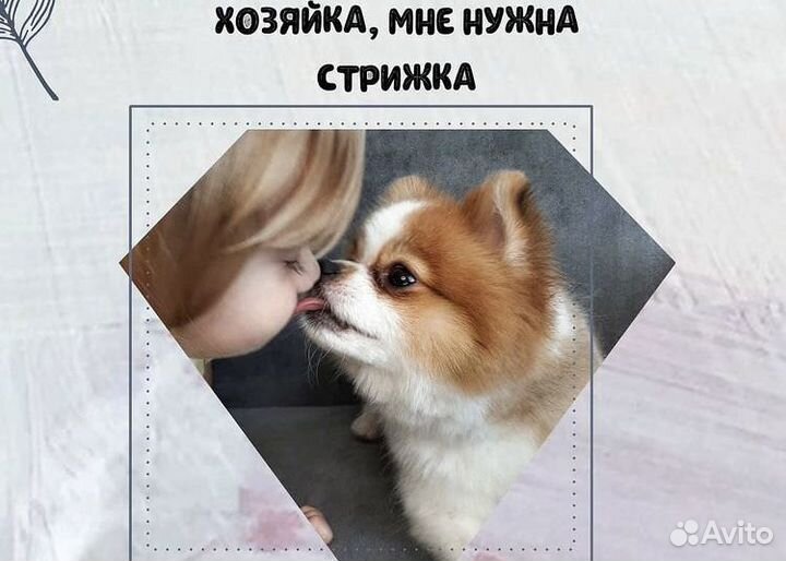 Делаю самые красивые стрижки вашим питомцам