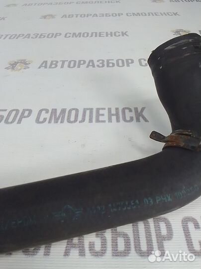 Патрубок радиатора mini Cooper I (2000—2015)