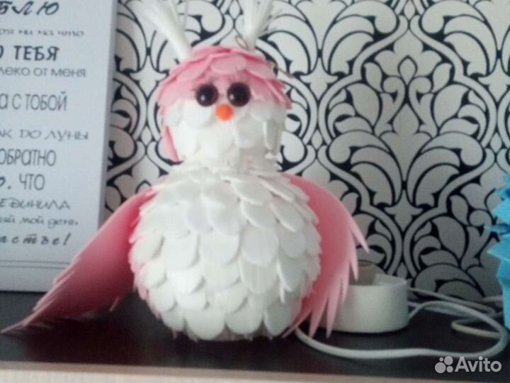 Сова ночник