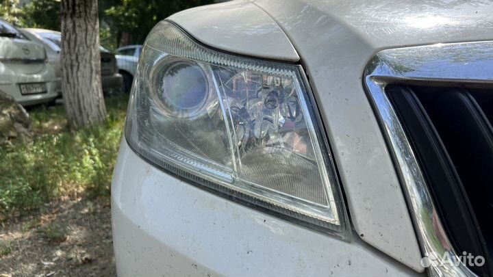 Фара передняя правая на skoda octavia a5