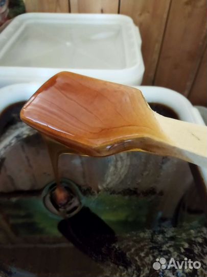 Мед гречишный монофлерный