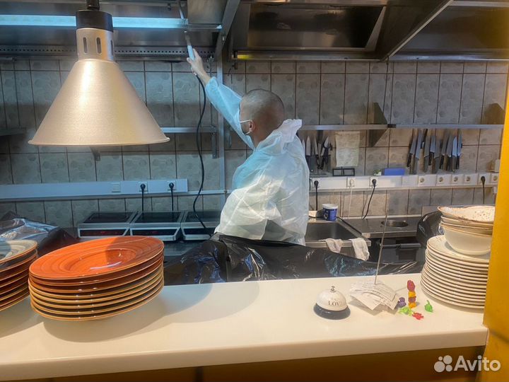 Уничтожение клопов, тараканов и муравьев