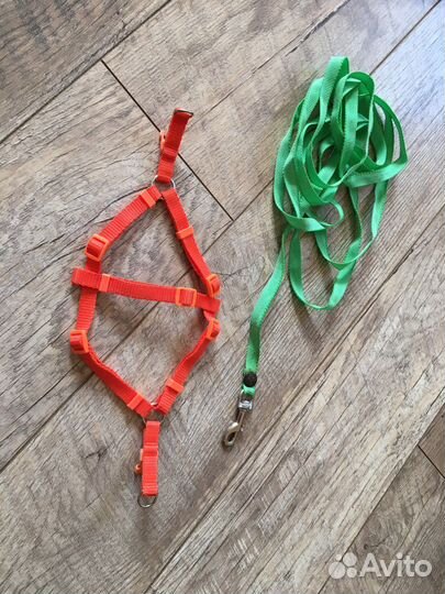 Поводок и шлейка для котов, собак