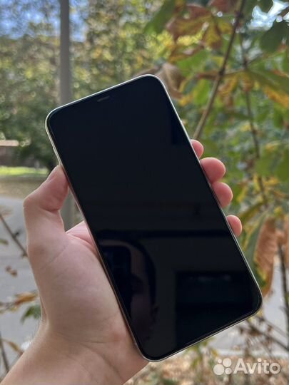 iPhone 11 Pro Max, 256 ГБ