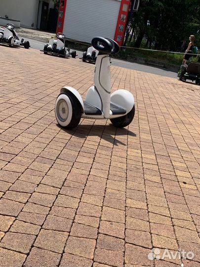 Segway ninebot mini plus оригинал
