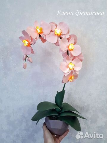 Орхидея с подсветкой