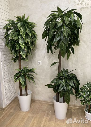 Искусственное дерево манго