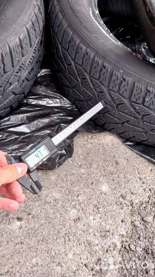 Kormoran Snow 195/65 R15