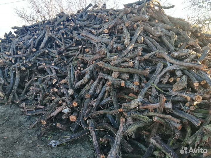 Дрова виноградной лозы