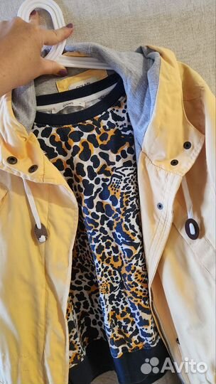 Ветровка и свитшот colins