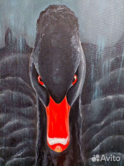 Картина маслом на холсте. Чёрный лебедь