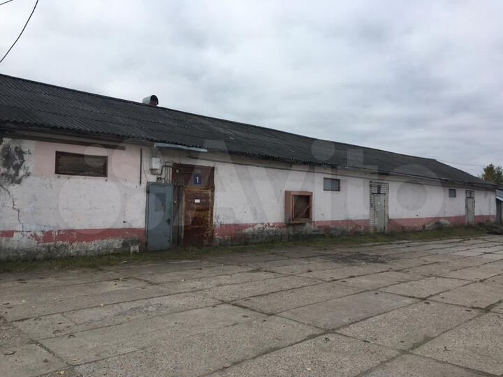 Свободного назначения, 50 м²