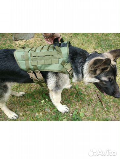 Шлейка тактическая на крупную собаку