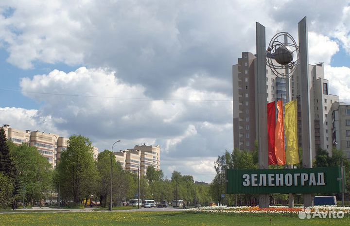 Выставка,собаки,все классы-Зеленоград 9,09, 2023