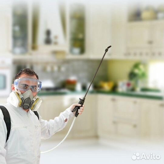 Уничтожение клопов тараканов клещей плесени крыс