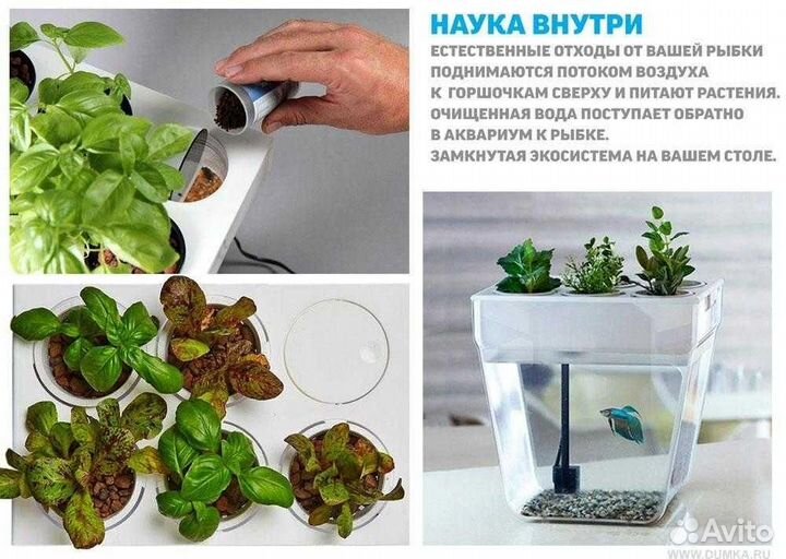 Аквариум Аква-ферма (Aqua Farm)