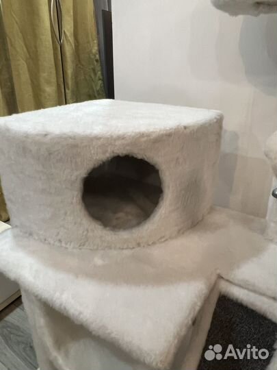 Когтеточка домик для кошки высокая