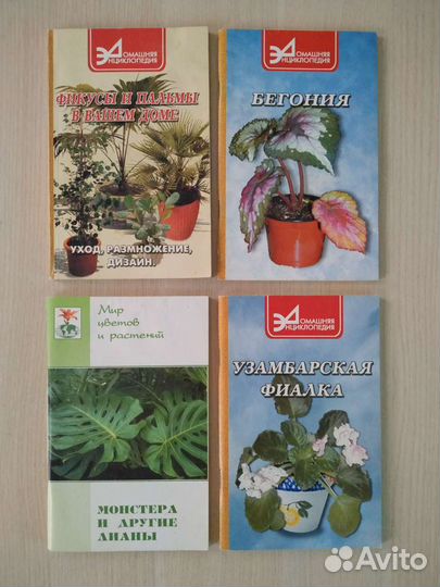 Книги фиалки, бегония, фикусы, монстера