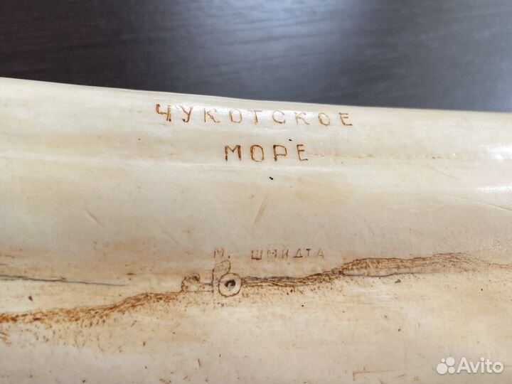 Имитация сувенир клык моржа