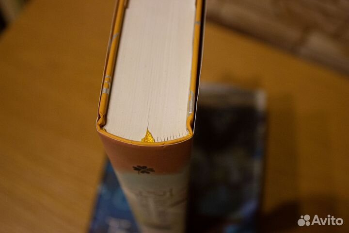 Благословение небожителей книга том 2 Мосян Тунсю