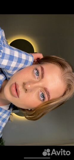 Обучение бровист