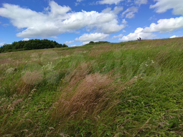 Участок 15 сот. (ИЖС)