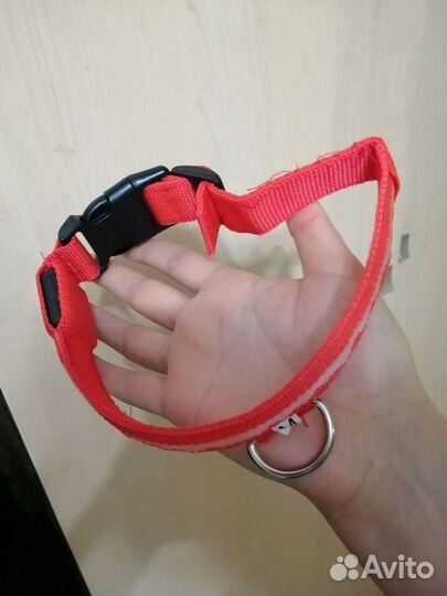 Ошейник для собак