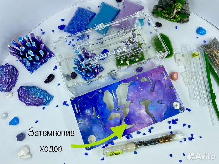 Муравьиная ферма