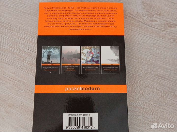 К югу от границы, на запад от солнца. Х. Мураками