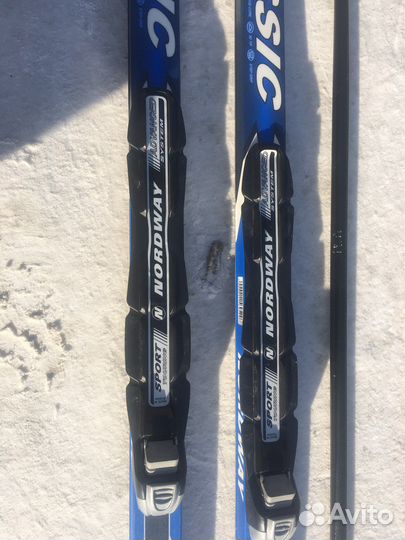 Беговые лыжи