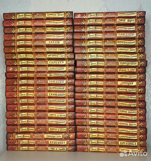 Коты-Воители: Циклы и специальные издания