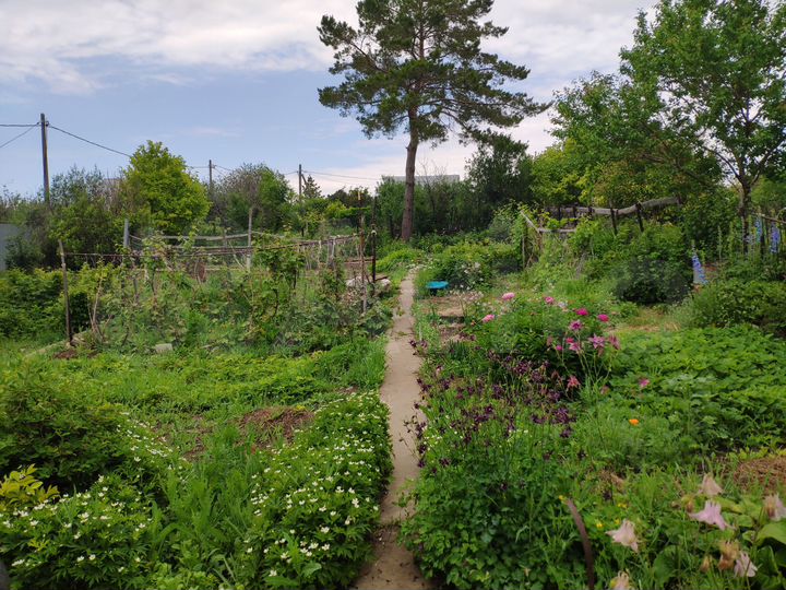 Дача 18 м² на участке 4,9 сот.