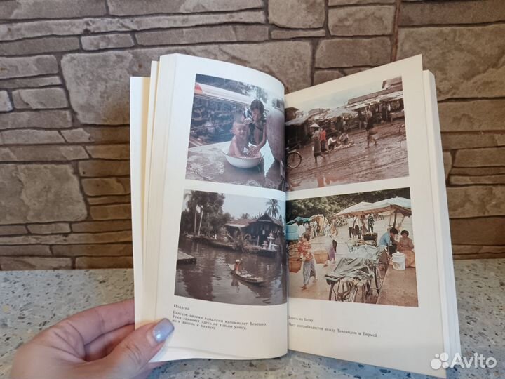 Золотой треугольник Богуслав Шнайдер