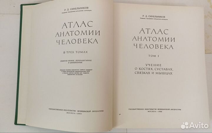 Атлас анатомии человека Синельников