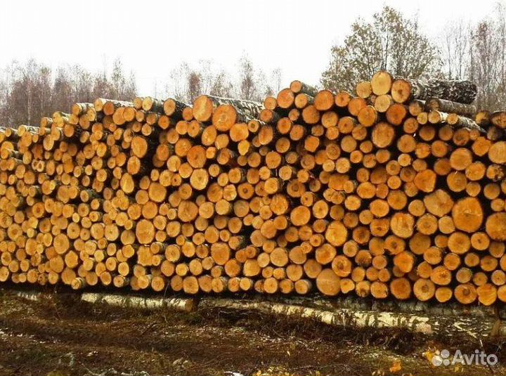 Дрова с доставкой
