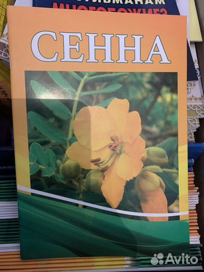 Рецептация Корана