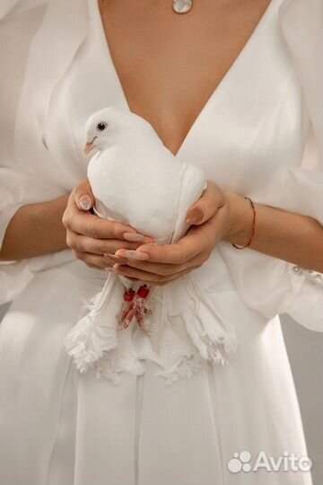 Выпуск белых голубей на свадьбах и торжествах