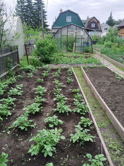 Дом 50 м² на участке 4,5 сот.