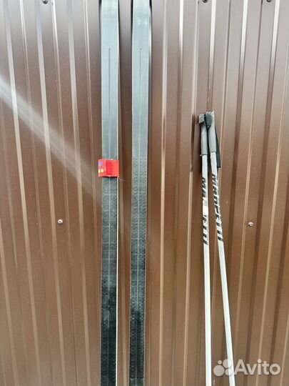 Беговые лыжи