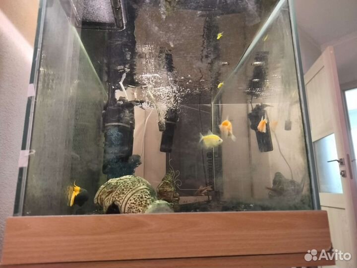 Аквариум с тумбой, рыбками и 1 фильтром
