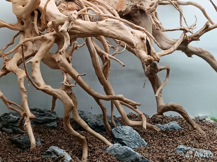 Натуральные Коряги. Декор для аквариума. Азалия