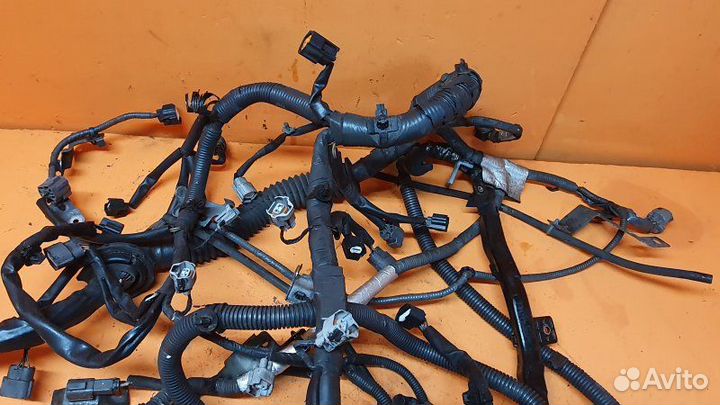 Проводка моторная Infiniti Fx35 S51 3.5 2009