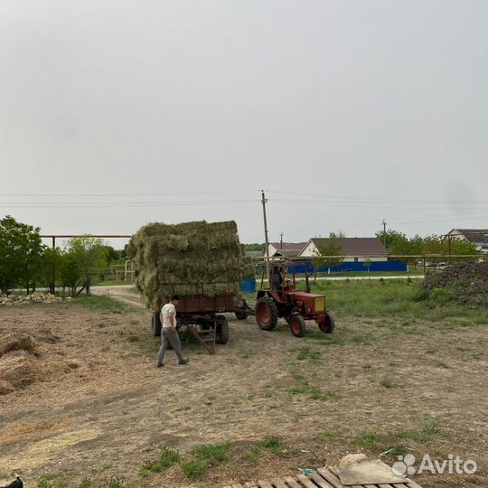 Сено люцерны с разнотравием